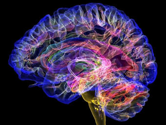 内射爆操大脑植入物有助于严重头部损伤恢复